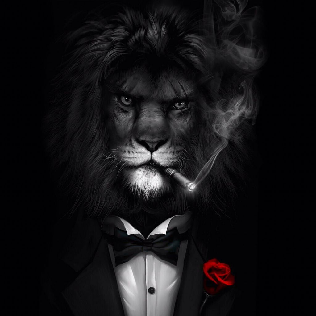 Скачайте и установите Lev Casino - мобильное приложение для игры в казино